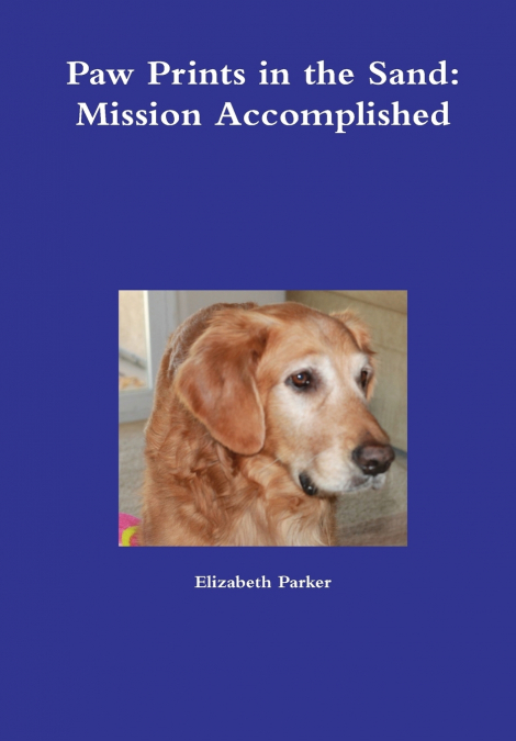 Paw Prints in the Sand