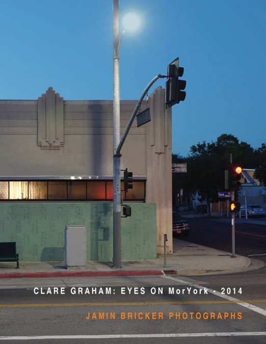 Eyes on Moryork - 2014 Jamin Bricker Photographs