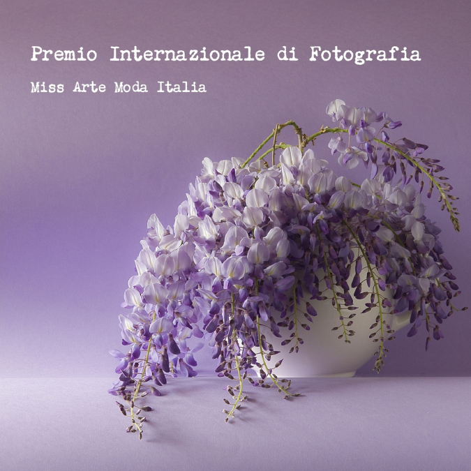 Premio Internazionale di Fotografia Miss Arte Moda Italia 2016
