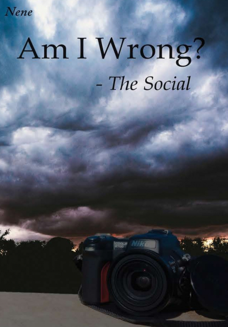 Am I Wrong? - The Social