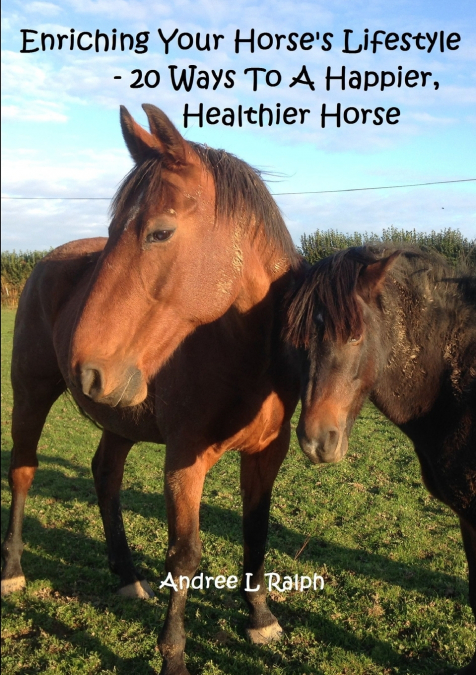 Enriching Your Horse’s Lifestyle - 20 Ways To A Happier, Healthier Horse