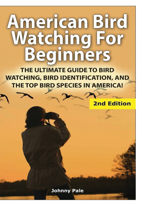 American Bird Watching for Beginners