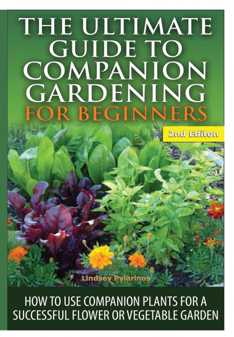 The Ultimate Guide to Companion Gardening for Beginners
