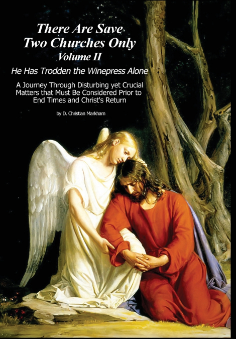 There Are Save Two Churches Only, Volume II
