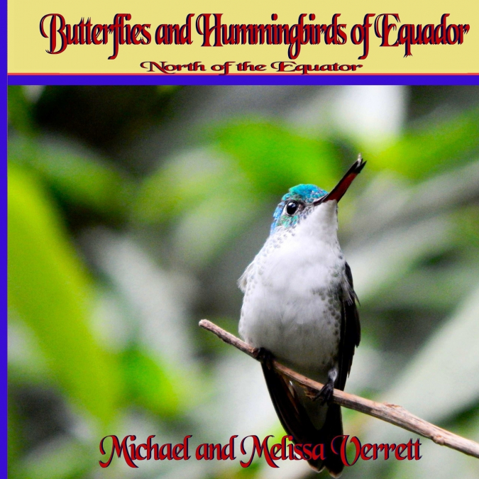 Butterflies and Hummingbirds of Ecuador