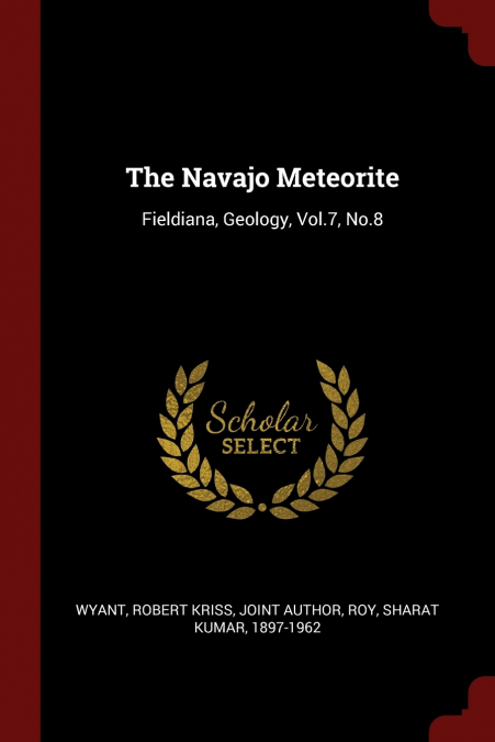 The Navajo Meteorite