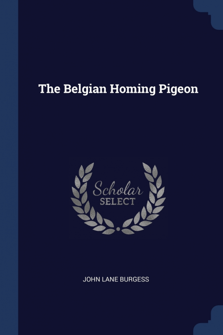 The Belgian Homing Pigeon