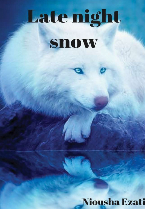 Late Night Snow
