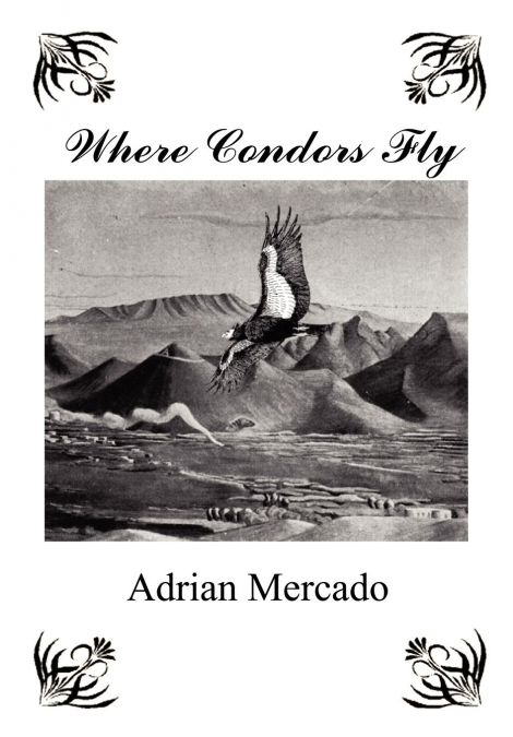 Where Condors Fly