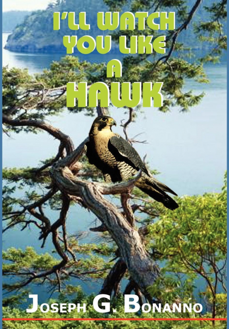 I’LL WATCH YOU LIKE A HAWK
