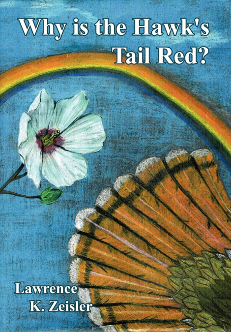Why is the Hawk’s Tail Red?