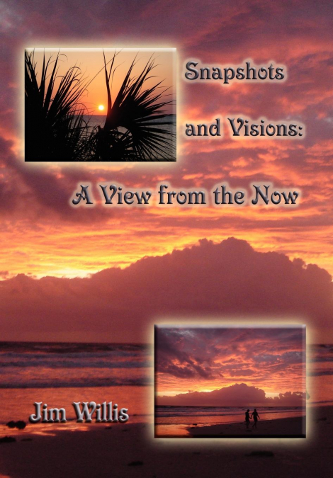 Snapshots and Visions