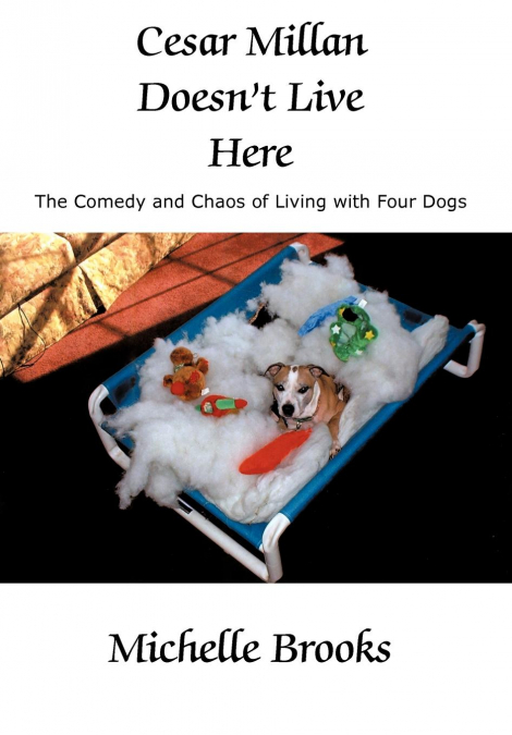 Cesar Millan Doesn’t Live Here