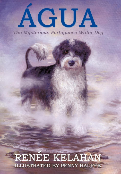 Agua, the Mysterious Portuguese Water Dog