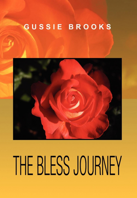 The Bless Journey
