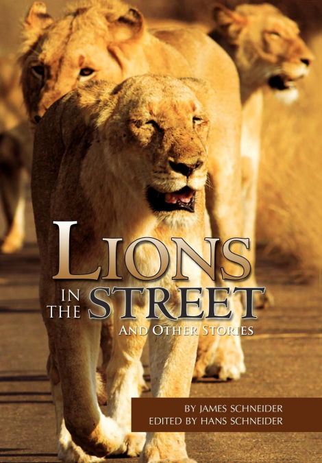Lions in the Street