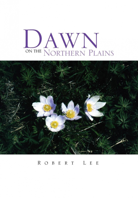 Dawn on the Northern Plains
