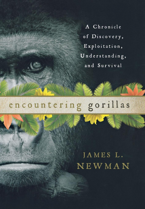 Encountering Gorillas