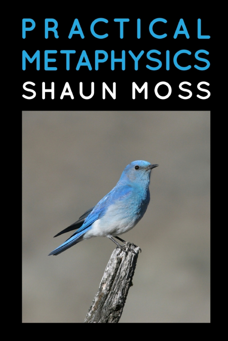 Practical Metaphysics