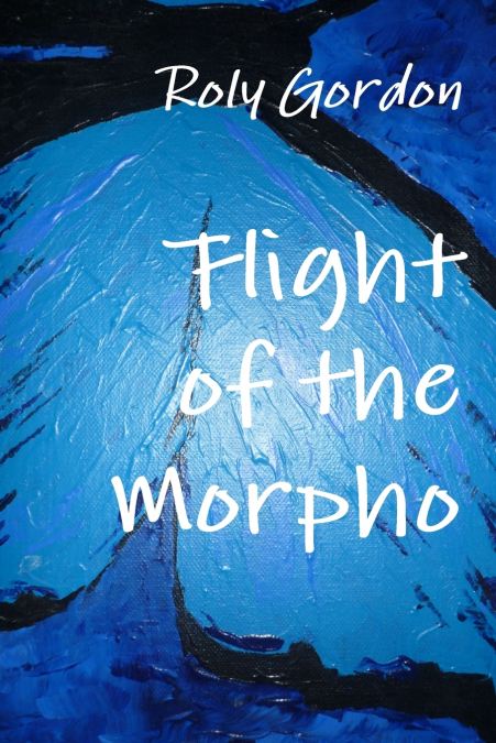 Flight of the Morpho