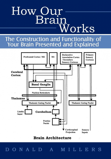 How Our Brain Works
