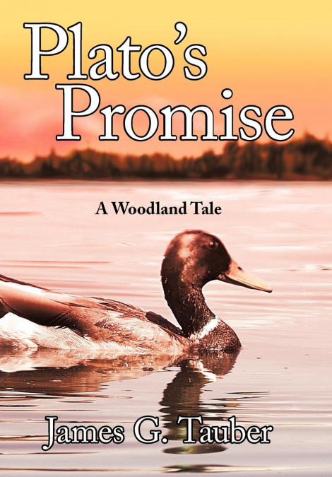 Plato’s Promise
