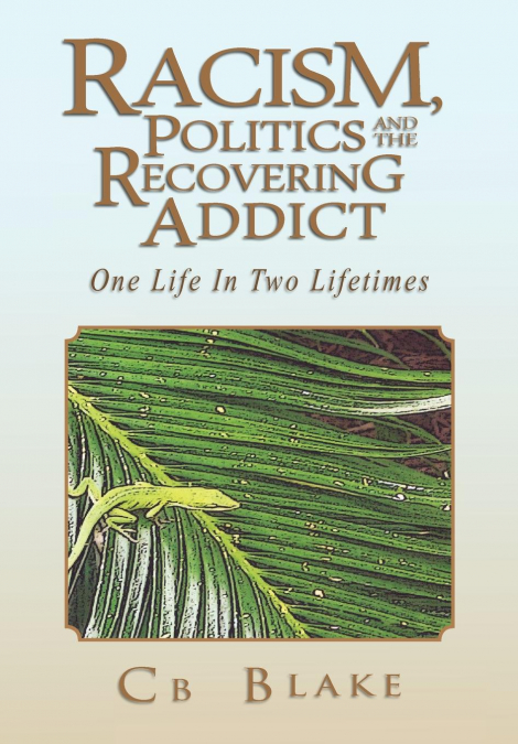 Racism, Politics and the Recovering Addict