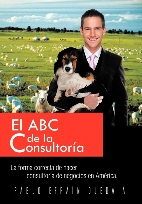 El ABC de La Consultoria