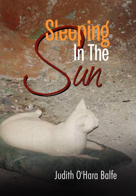 Sleeping in the Sun