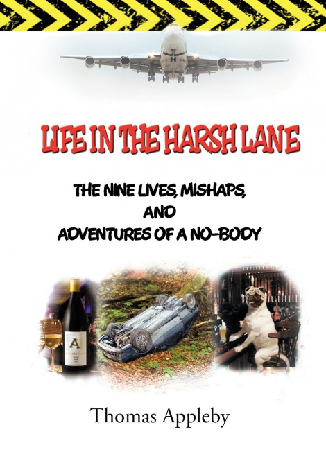 Life in the Harsh Lane
