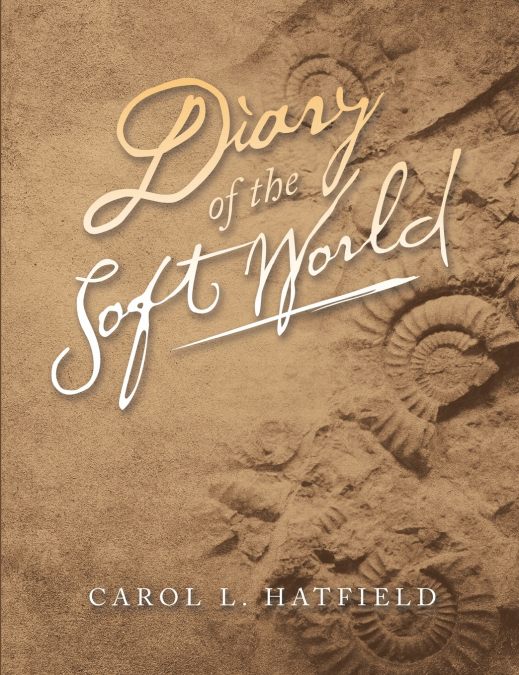 Diary of the Soft World