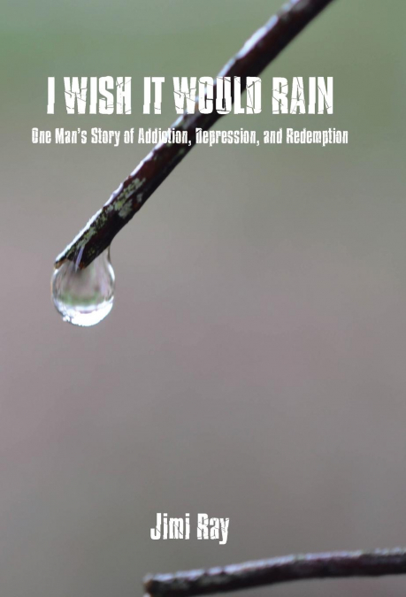 I Wish It Would Rain