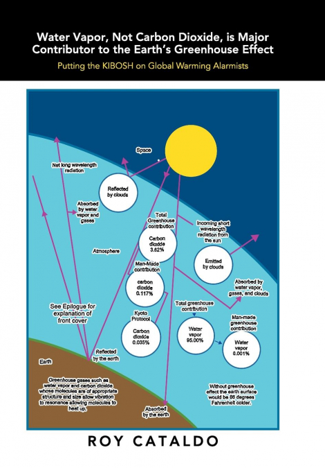 Water Vapor, Not Carbon Dioxide, Is Major Contributor to the Earth’s Greenhouse Effect