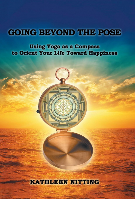 Going beyond the Pose
