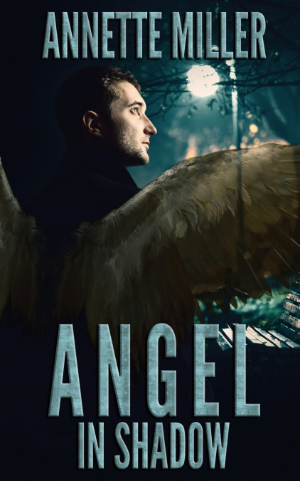 Angel in Shadow