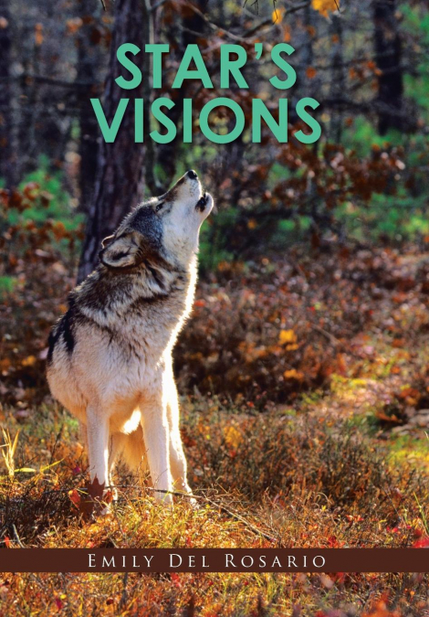 Star’s Visions