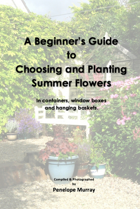 A Beginner’s Guide to Choosing and Planting Summer Flowers