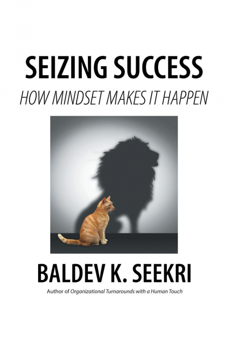 Seizing Success