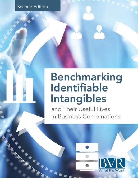 Benchmarking Identifiable Intangibles and Their Useful Lives in Business Combinations, Second Edition