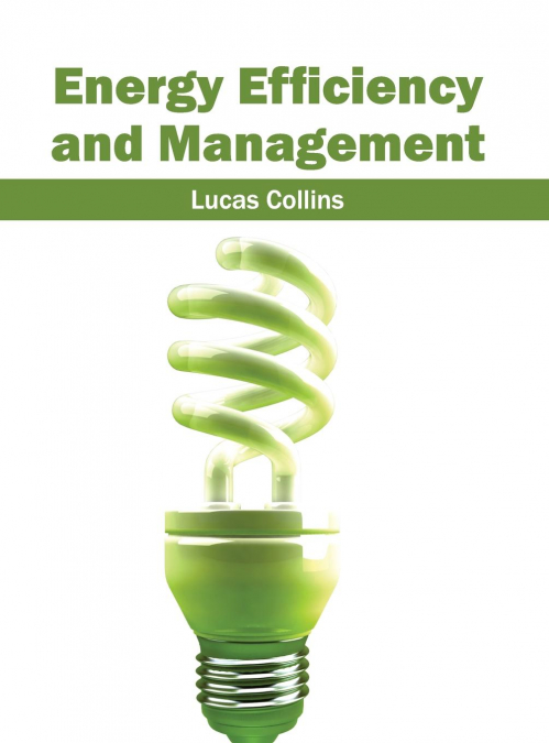 Energy Efficiency and Management