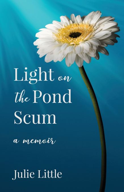 Light on the Pond Scum