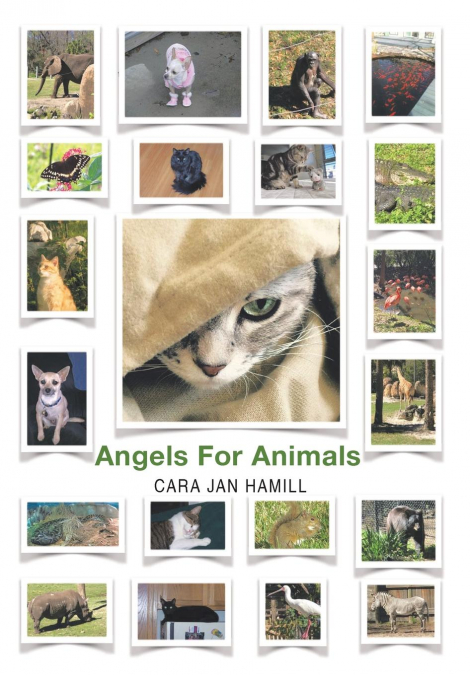 Angels for Animals