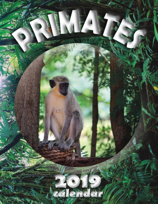 Primates 2019 Calendar