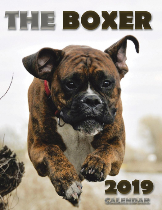 The Boxer 2019 Calendar