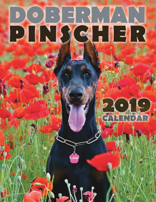 Doberman Pinscher 2019 Calendar
