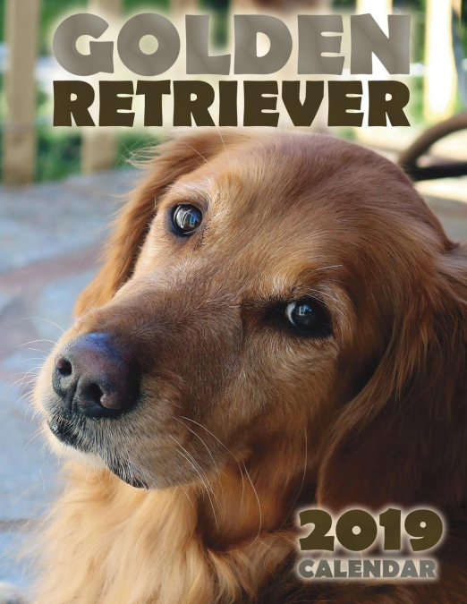 Golden Retriever 2019 Calendar