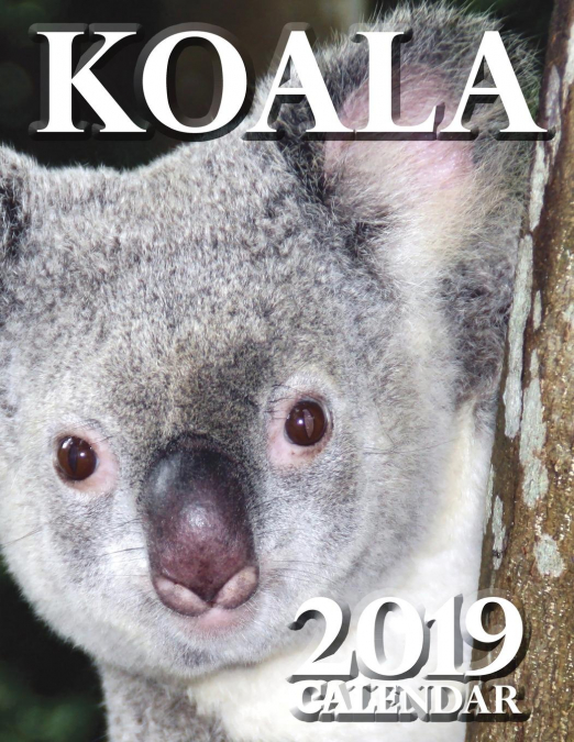 Koala 2019 Calendar