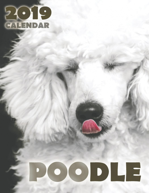 Poodle 2019 Calendar