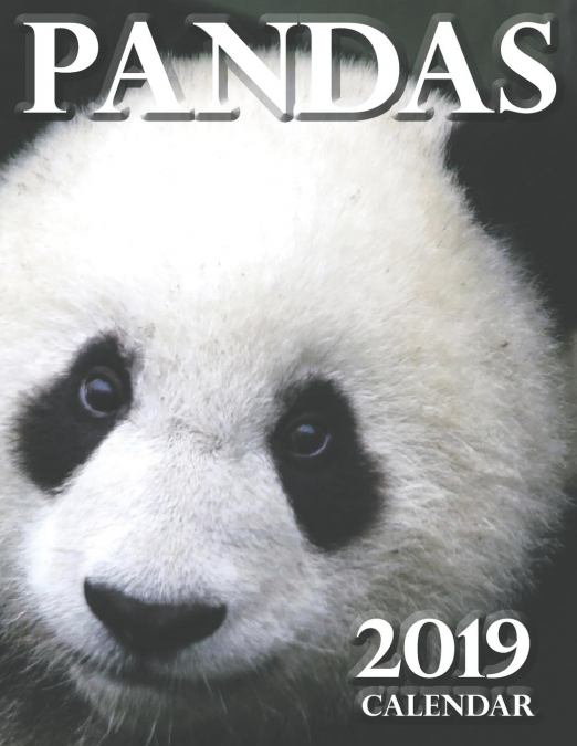 Pandas 2019 Calendar