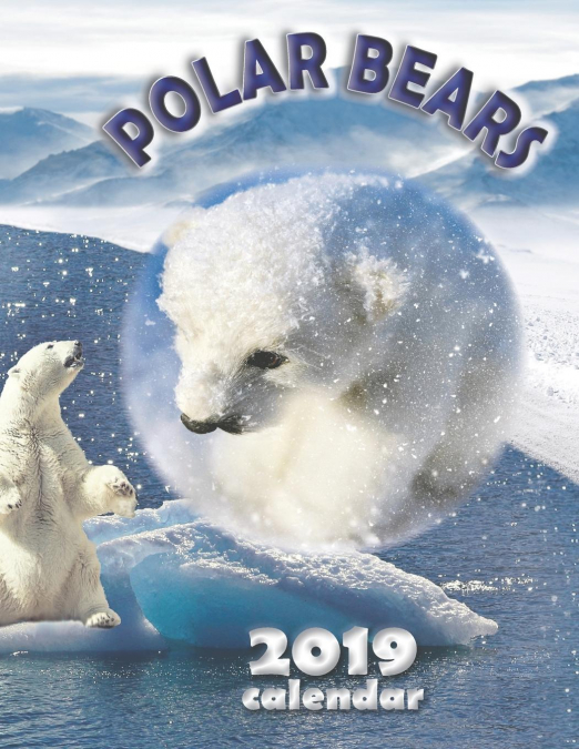 Polar Bears 2019 Calendar
